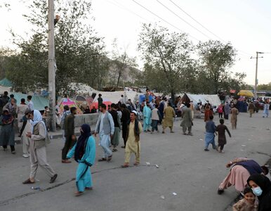 Miniatura: Talibowie są już na przedmieściach Kabulu....