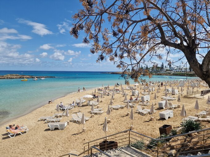 Plaża Fig Tree Bay w Protaras na Cyprze