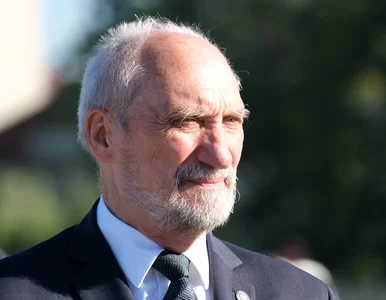 Miniatura: „Pozdrowienia z Warszawy”. Antoni...