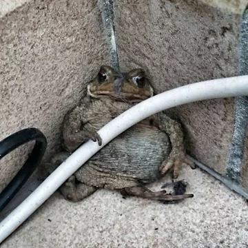 To my, podczas weekendowych dyżurów 