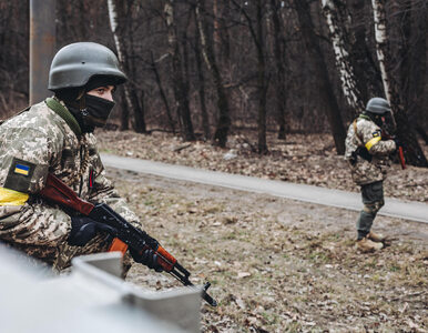 Miniatura: Wojna na Ukrainie. Ministerstwo obrony...