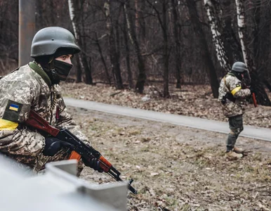 Miniatura: Wojna na Ukrainie. Ministerstwo obrony...