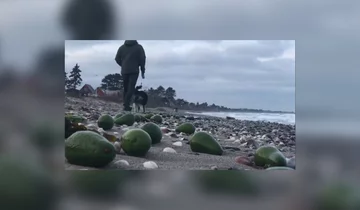 Plaża na wyspie Samso 