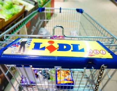 Miniatura: Hitowe promocje na Dzień Dziecka w Lidlu....