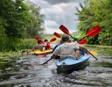 Miniatura: Kraina Wielkich Jezior Mazurskich znika