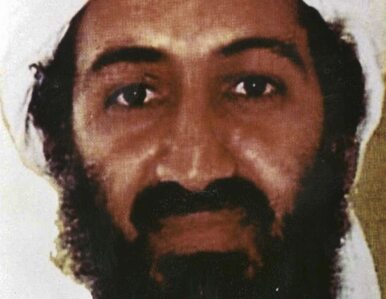Miniatura: Talibowie ogłosili bin Ladena...