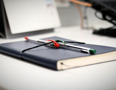 Miniatura: Błyskawiczny quiz ortograficzny. Wraca...