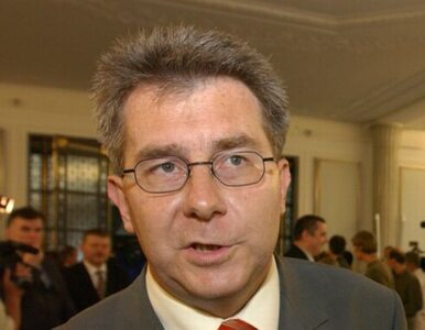 Miniatura: Czarnecki: chcę wrócić do polskiej polityki