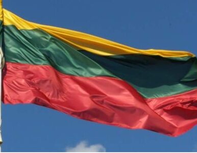 Miniatura: Leonardas Vilkas: Negatywny wpływ na Litwę...