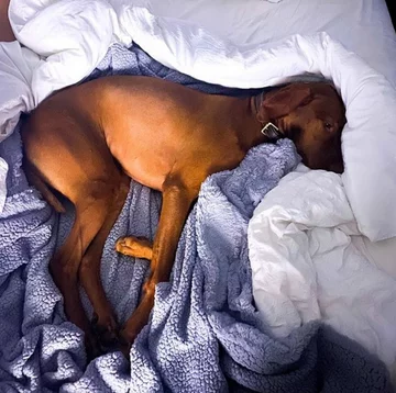 Sophie 