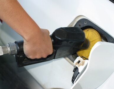 Miniatura: Shell i Exxon szykują się do przejęcia BP?