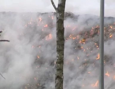 Miniatura: Wysypiska znów zapłoną? Pożar 12-metrowej...