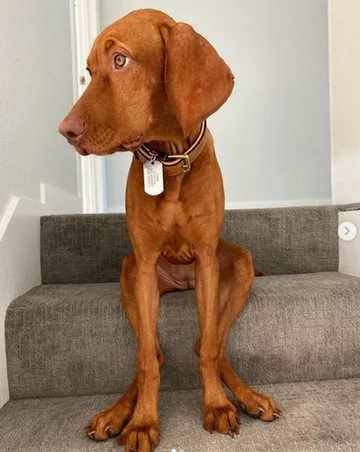 Sophie 
