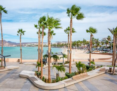 Miniatura: Prawie 100 złotych podatku. Tyle zapłacą...