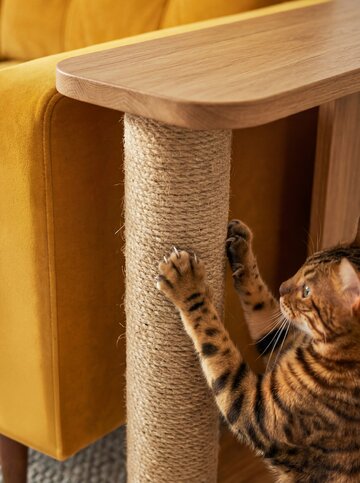 Pet-friendly design to&nbsp;jeden z&nbsp;najszybciej rozwijających się trend&oacute;w we&nbsp;wsp&oacute;łczesnych wnętrzach. Dziś projektanci coraz częściej uwzględniają potrzeby zwierząt już na&nbsp;etapie aranżacji domu