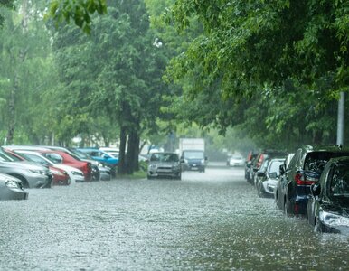 Miniatura: Zalało uwielbiany kierunek Polaków. Poziom...
