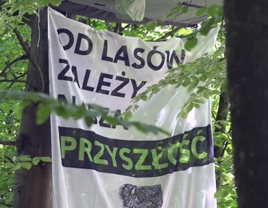 Wielki protest przeciwko wycince. Aktywiści chcą ocalić Puszczę Bukową