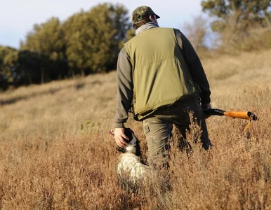 Miniatura: Żołnierz postrzelony przez myśliwego. Nowe...