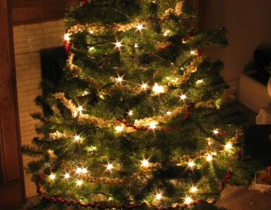 Miniatura: Alarm w metrze. Powód? Ozdoba choinkowa