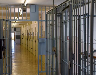 Miniatura: Ostatni taki wyrok w Polsce. Tak wyglądały...