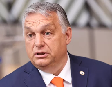 Miniatura: Węgry zmieniają kurs? „Poprzemy akcesję...