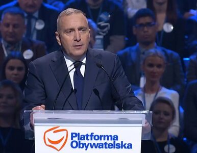 Miniatura: Co z posłami PO, którzy złamali dyscyplinę...