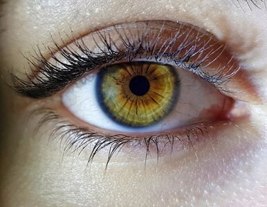 Czerniak błony naczyniowej oka  – rzadki nowotwór, o którym niewiele się...