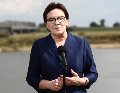 Miniatura: Kopacz: Ważą się losy UE, jaką znamy