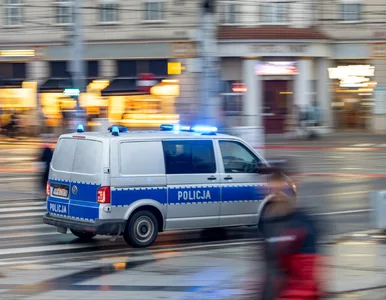 Miniatura: Młodzi Polacy napadli na rówieśników z...