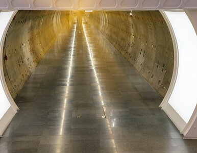 Miniatura: Pociągi pojadą podwodnym tunelem w...