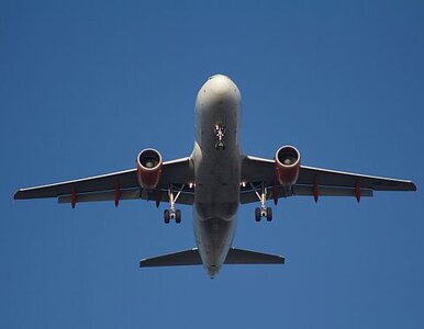 Miniatura: Boeing pełen ludzi zaczął spadać....