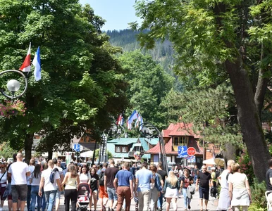Miniatura: Zakopane chce przyciągnąć nowych turystów....