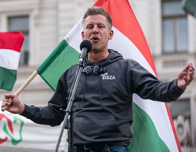 Miniatura: Chcieli zinfiltrować węgierską opozycję....