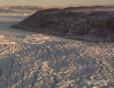 Miniatura: Niezwykłe odkrycie naukowców na Grenlandii