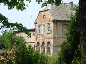 Miniatura: Zabytkowy pałac strawiony przez ogień. Był...