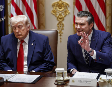 Miniatura: Amerykanie chcieli polskiej pomocy w...