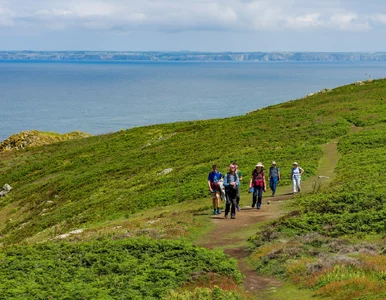 Miniatura: Cały miesiąc na pięknej wyspie za darmo....