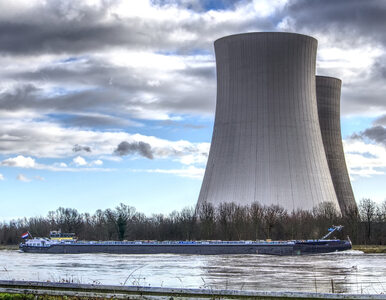 Miniatura: Niemcy obawiają się elektrowni atomowej w...