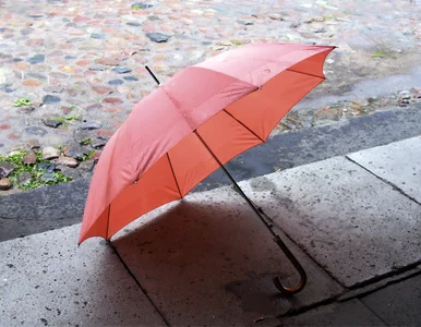 Miniatura: Pogoda na jutro: Chłodno i mokro. Może...