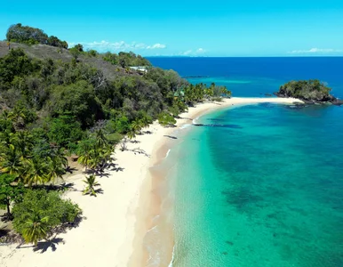 Miniatura: Nowy kierunek z polskiego lotniska. Jedna...