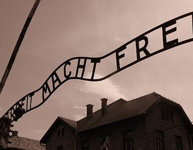 Miniatura: Kradzież w Auschwitz - trzy osoby oskarżone
