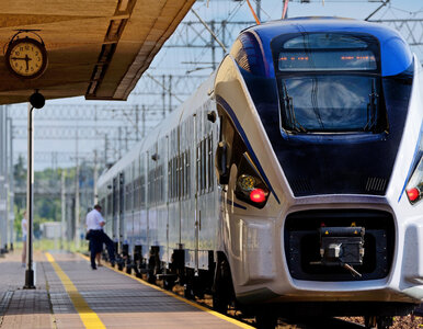 Miniatura: Pociąg z Wrocławia zderzył się z łosiem....