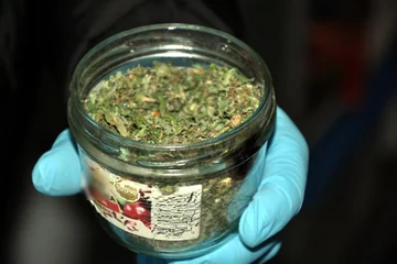 Policja rozbiła gang handlarzy narkotyków 