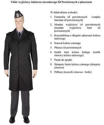 fot. MON/Polska-Zbrojna.pl