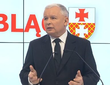 Miniatura: Kaczyński: OFE jak lwia spółka