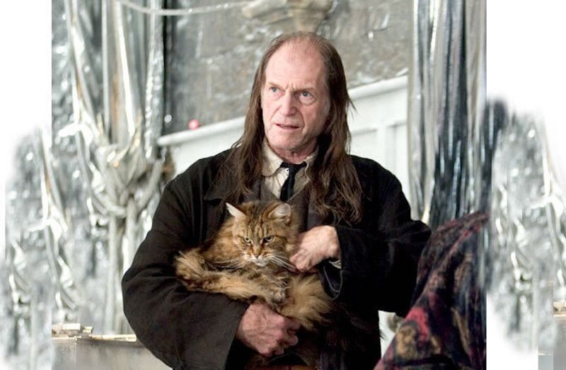 David Bradley jako Argus Filch 