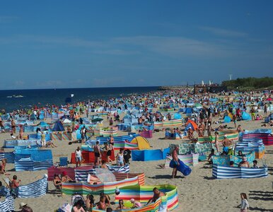 Miniatura: Woda w popularnym kurorcie skażona. To...