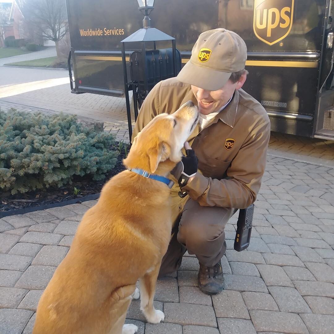 Jovi okazuje miłość kurierowi UPS 