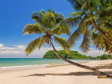 Miniatura: „Nowy Zanzibar” bezpośrednio z Polski. Do...