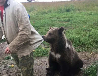 Miniatura: Piloci zbierają na utrzymanie...